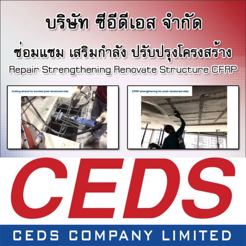 CEDS COMPANY LIMITED